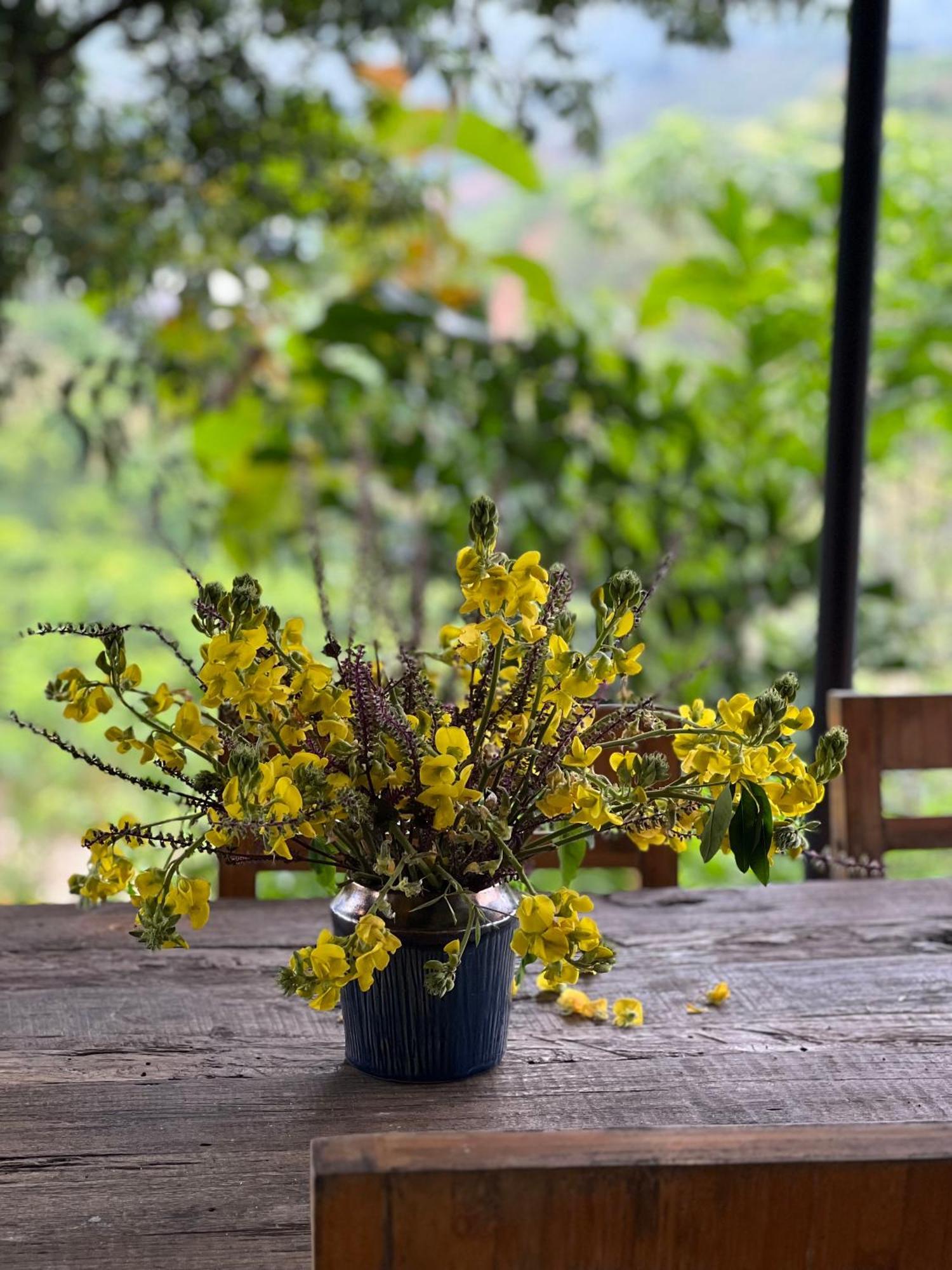 Vuon Tren May - Skyline Farm & Homestay Moc Chau Exterior foto